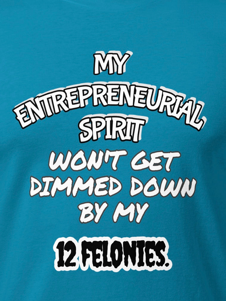 My Entrepreneurial Spirit Won’t Get Dimmed Down By My 12 Felonies T-Shirt By KazualTees